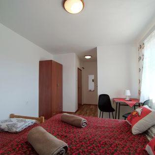 Bed and Breakfast "U Skowronkow" à Bukowina Tatrzańska Extérieur photo